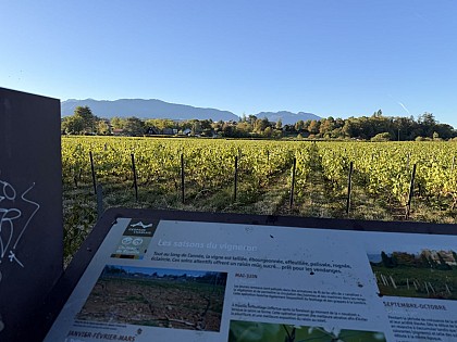 Ripaille castle and vineyards discovery trail