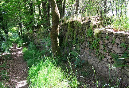 Marzan: Circuit 17 du Site VTT-FFC La Roche-Bernard (OFFICIEL)