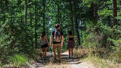 La forêt de Montpensier - PR n°43