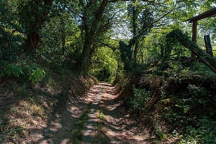 Les coteaux des Creuzier - PR n°56