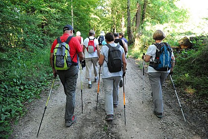 Le bois des Souches - PR n°59