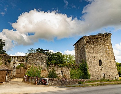 Sentier de l'Ansonnière - Les Essarts, Essarts-en-Bocage