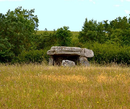 BEAULIEU SUR LAYON - De la Forêt au Layon