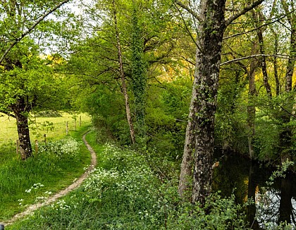 Sentier de l'Hermitage, boucle de 5 km - Bazoges-en-Paillers