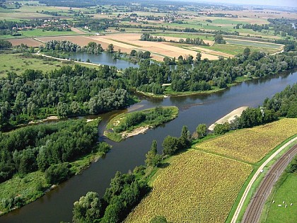 Les bords de l'Allier - PR n°60