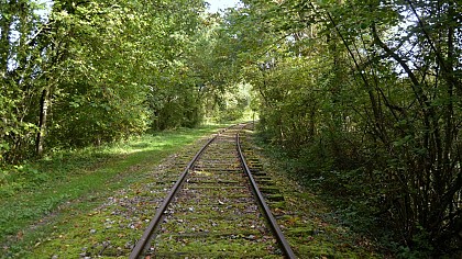Piste Bleue - Ferra Botanica