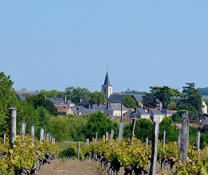 FAVERAYE-MACHELLES : Circuit Mâchelles