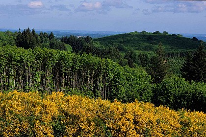La Grande boucle du Parc Périgord-Limousin