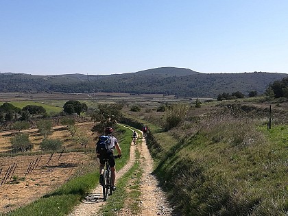 CIRCUIT LES 5 PUECHES - ESPACE VTT-FFC VALLÉE DE L'HÉRAULT