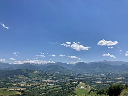 N°7 Barétous - Bois de Gouloume