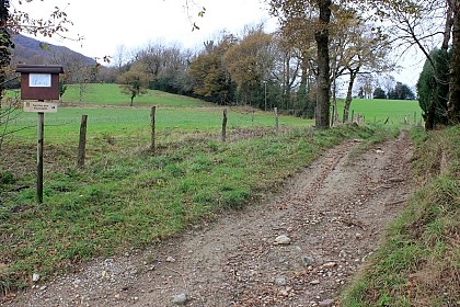 Randonnée pédestre : Les Raynauds 8,8km / 2h30