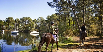 Hourtin : la réserve des dunes et marais à cheval