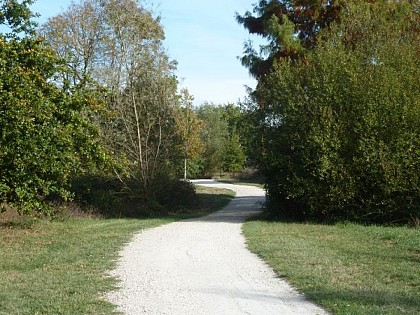 Balade à roulettes : Le Bois de Bordeaux 2 - IMPRATICABLE