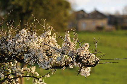 Panorama et crêtes: Raeren
