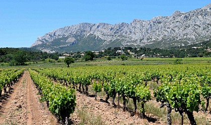 PUYLOUBIER - Parcours sans difficulté au pied de Sainte-Victoire