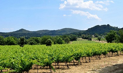 ROGNES - Balade gourmande au pays de la truffe noire