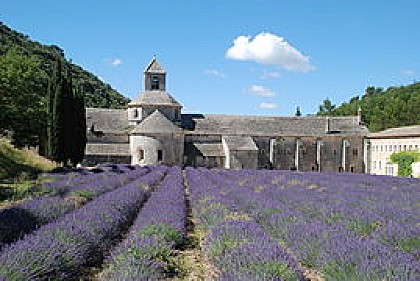 L'Abbaye de Sénanque