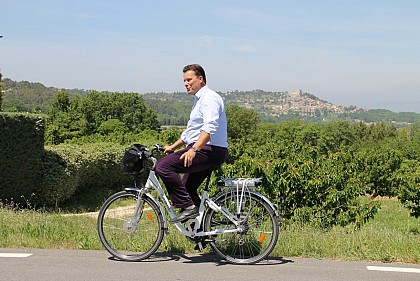 La Forêt des Cèdres (Cavaillon)
