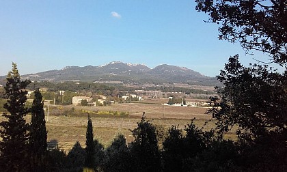 Colline Coste de Coa - Vacqueyras