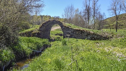 Vallée de l'Alagnonnette