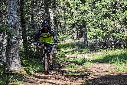 Le bois de la Peschaud