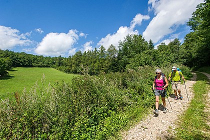 Randonnée - Le Belvédère de Sérémond