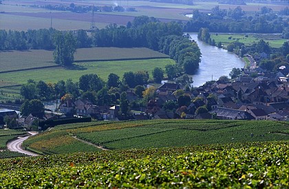 Entre Marne et vignes