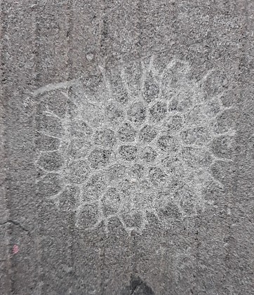 Fossiles en Ville – Liège – 2 : autour de la Boverie