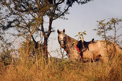 Balade à vélo ou à cheval - Marchin