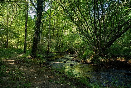 LASSAY, CIRCUIT DU RUISSEAU