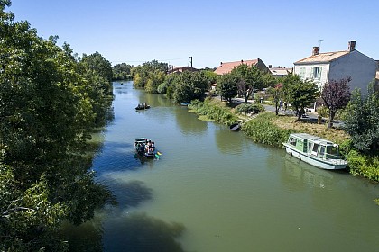 CIRCUIT PÉDESTRE DES RAINETTES