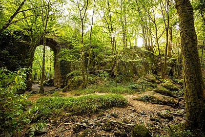 Circuit pédestre Autour de Mervent