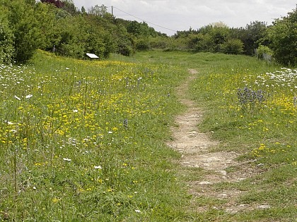 Sentier pédestre Les Falaises