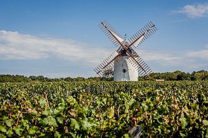 Sentier pédestre Les Vignes et la Vallée de l'Yon