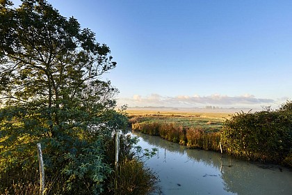 Sentier pédestre La Digue en terre