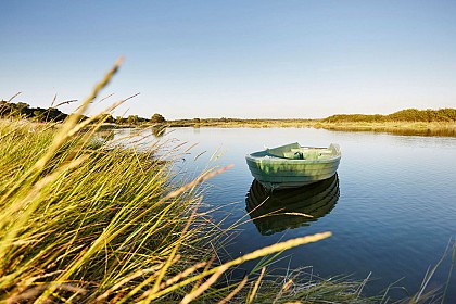 ROUTES DES VINS "CÔTE DE LUMIÈRE"
