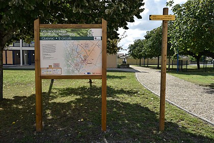 Boucle entre vignes et marais