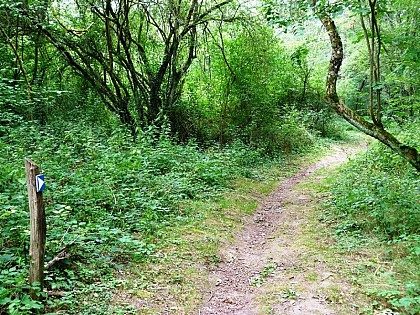 Stevenson | sentier autour de Châtillon-sur-Loire