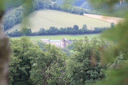 Cami de grifols e boïs