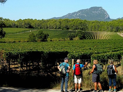 OENORANDO® ENTRE GRÉS DE MONTPELLIER ET PIC SAINT-LOUP