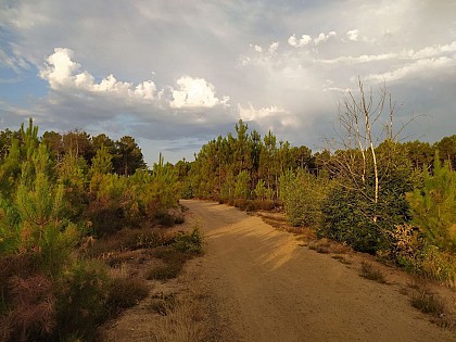 MULSANNE / Circuit du petit Chien