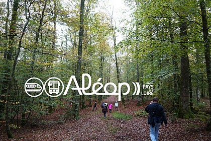 De La FERTÉ-BERNARD à SAINT-CALAIS en 2 jours