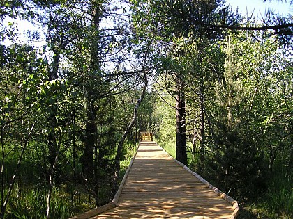 La tourbière des Creugnots, boucle 49