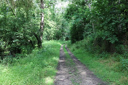 Stroll in Saint-Méry