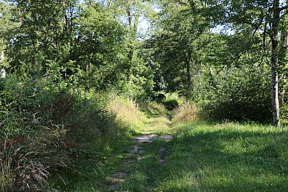 Walk from Saint-Méry to Blandy-les-Tours