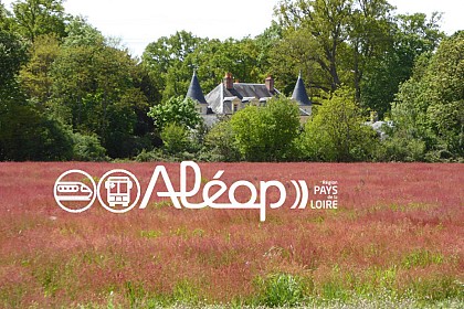 La VALLÉE du LOIR en 4 jours