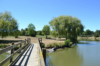 Walking trail of “Les étangs”