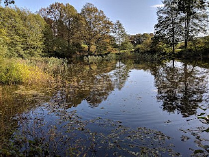 Circuit d'Esmoulières