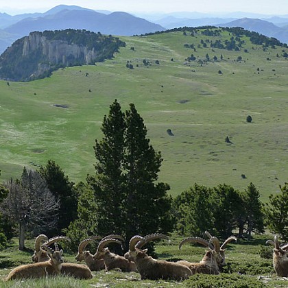 La Traversée Est-Ouest des Hauts-Plateaux du Vercors par le GR®93