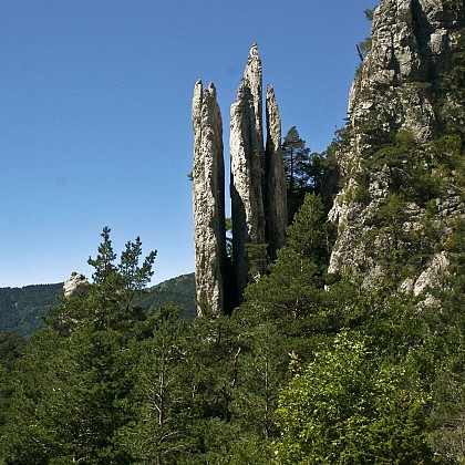 Les Sucettes de Borne